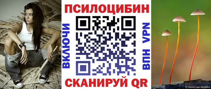 KRAKEN онион  Зеленогорск  Псилоцибиновые грибы прущие грибы 