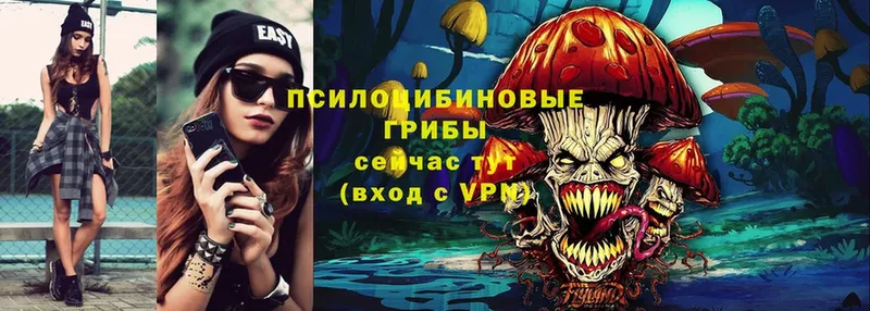 Псилоцибиновые грибы Cubensis  гидра как войти  Зеленогорск 