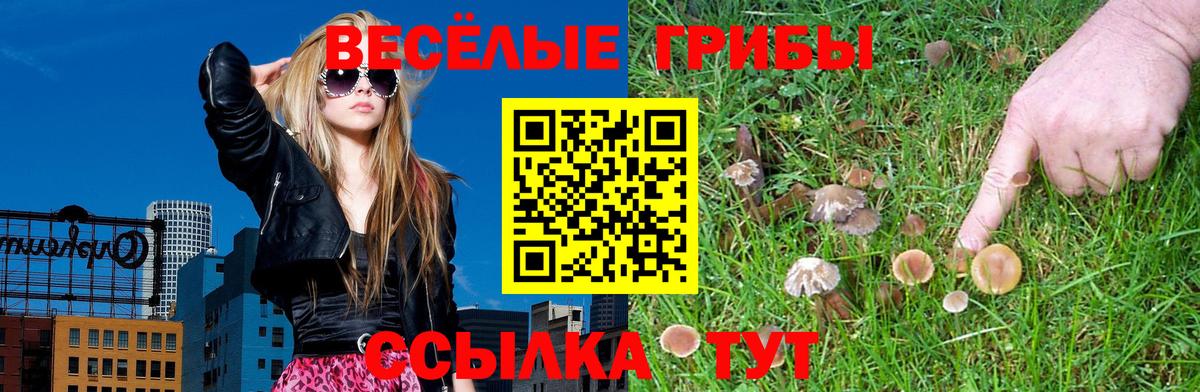 Галлюциногенные грибы мицелий Зеленогорск